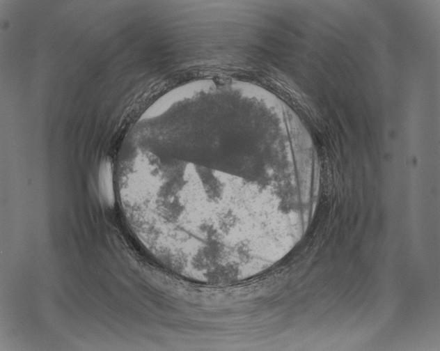 X0000067460022200605051633