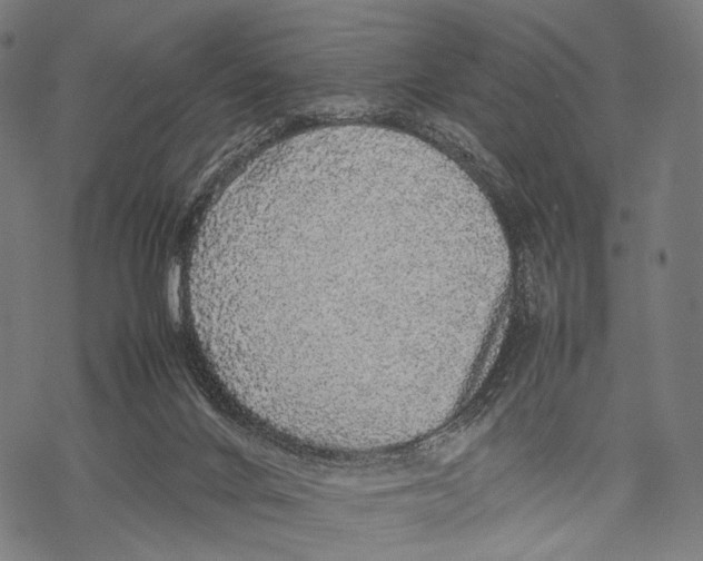 X0000067460024200605051633