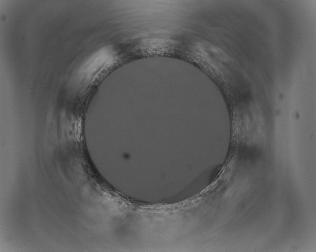 X0000067460025200605051633