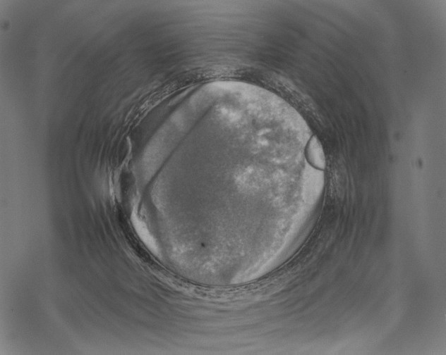 X0000067460026200605051633