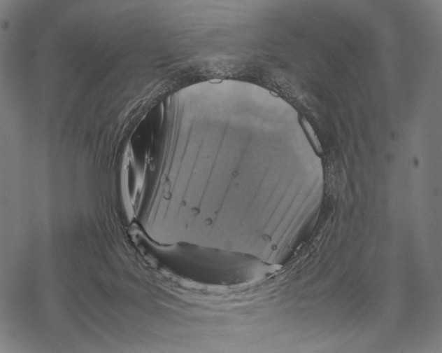 X0000067460027200605051633