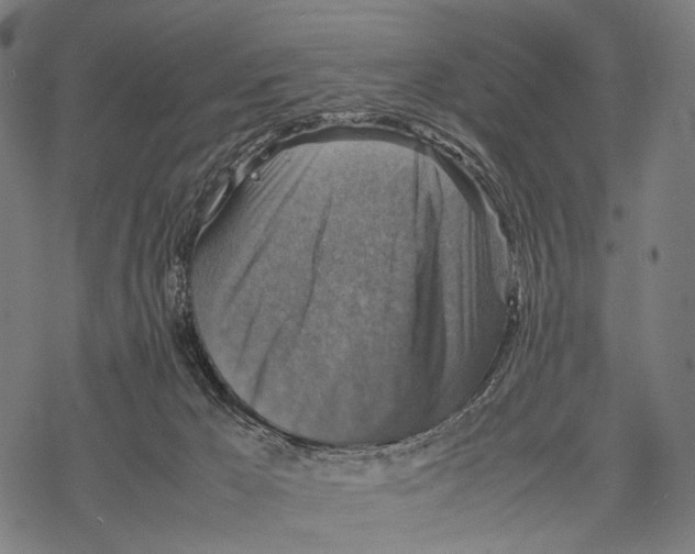 X0000067460029200605051633