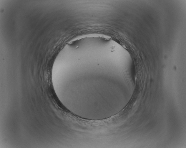 X0000067460031200605051633