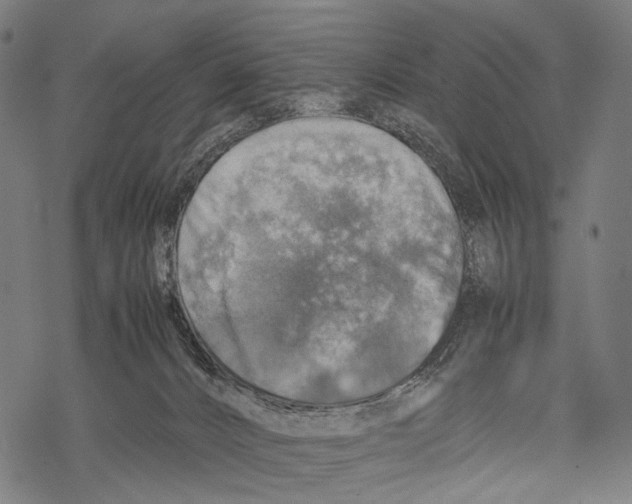 X0000067460032200605051633