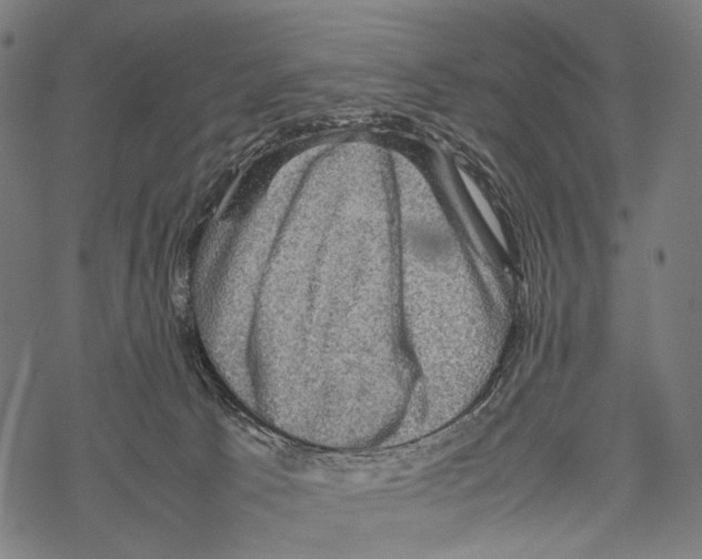 X0000067460033200605051633