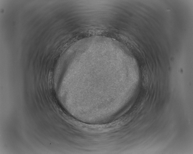 X0000067460034200605051633