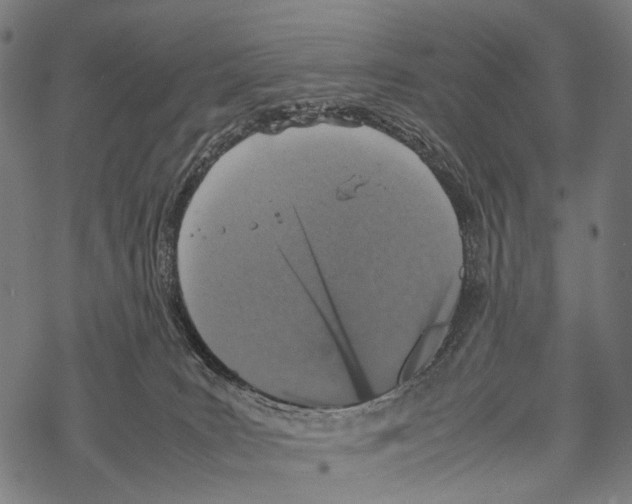 X0000067460035200605051633