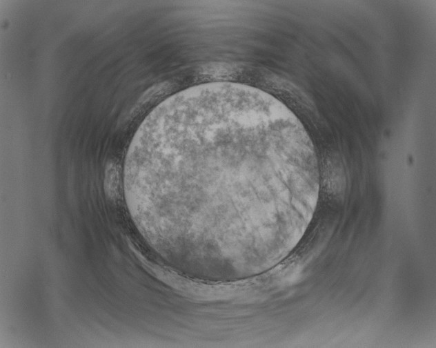 X0000067460036200605051633