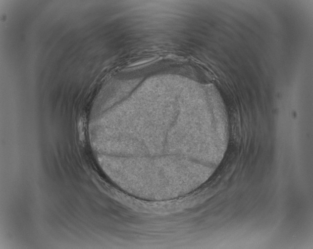 X0000067460038200605051633