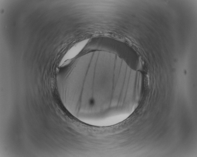 X0000067460039200605051633