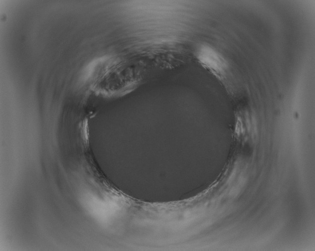 X0000067460041200605051633