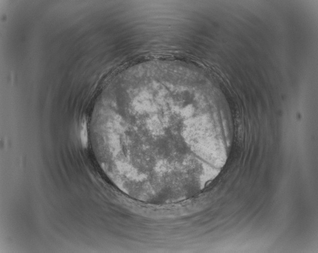 X0000067460042200605051633