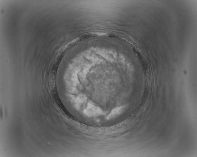 X0000067460043200605051633