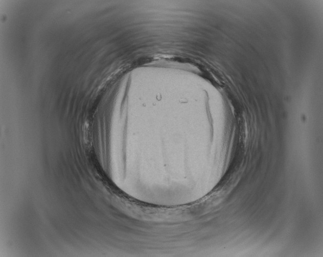 X0000067460044200605051633