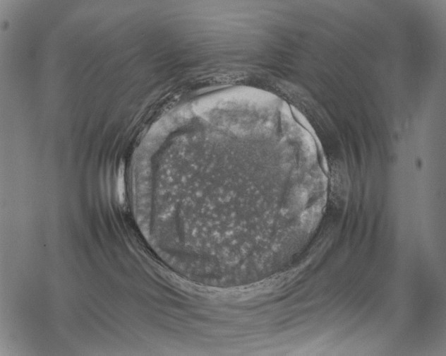 X0000067460046200605051633