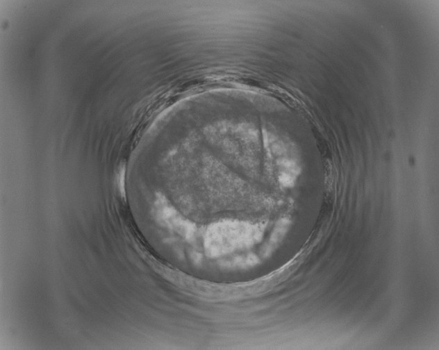 X0000067460047200605051633