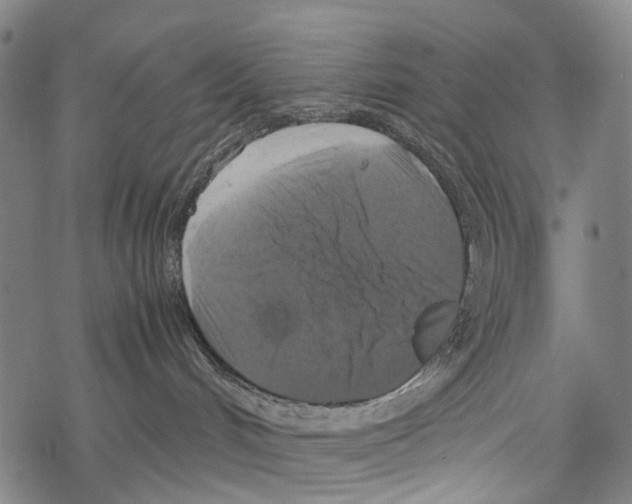 X0000067460048200605051633