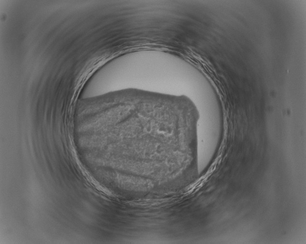 X0000067460049200605051632