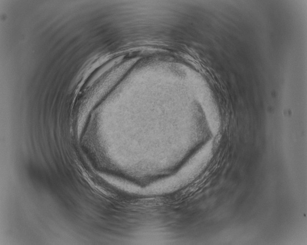 X0000067460050200605051632