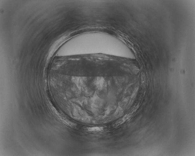 X0000067460053200605051632