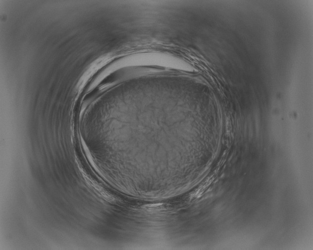 X0000067460054200605051632