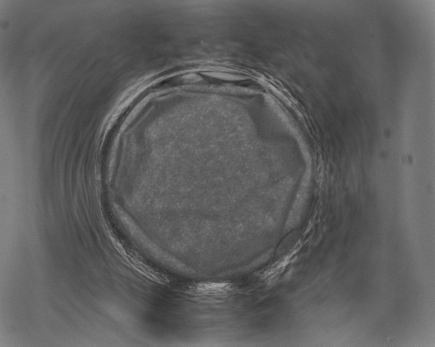 X0000067460055200605051632