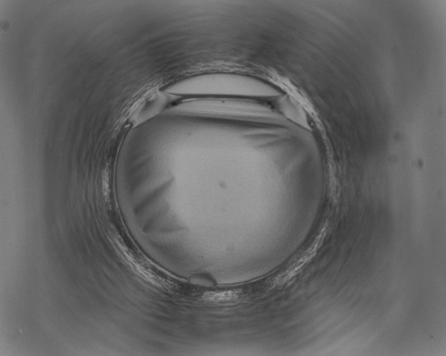 X0000067460057200605051632