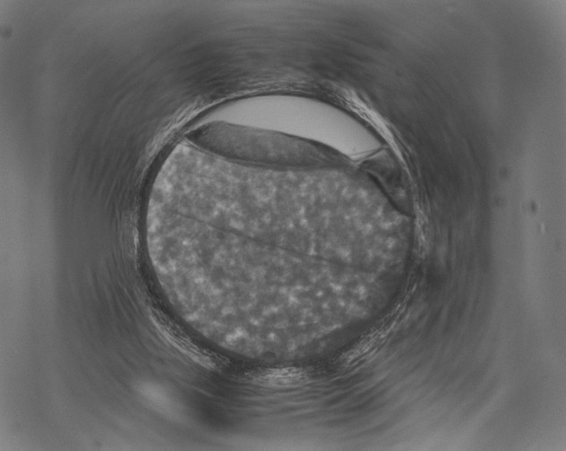 X0000067460059200605051632