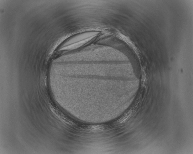 X0000067460060200605051632