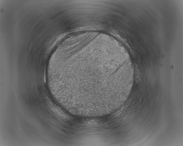 X0000067460062200605051632