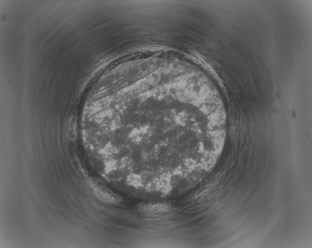 X0000067460063200605051632