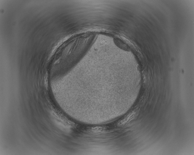 X0000067460064200605051632