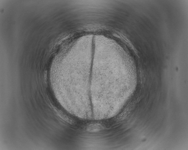 X0000067460066200605051632