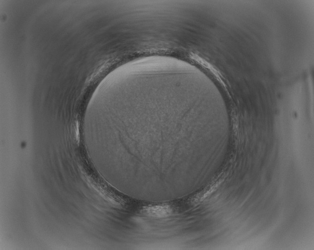 X0000067460067200605051632