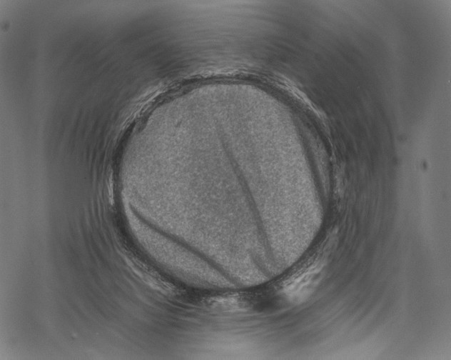 X0000067460068200605051632