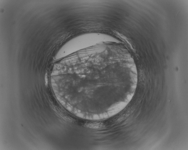 X0000067460069200605051632