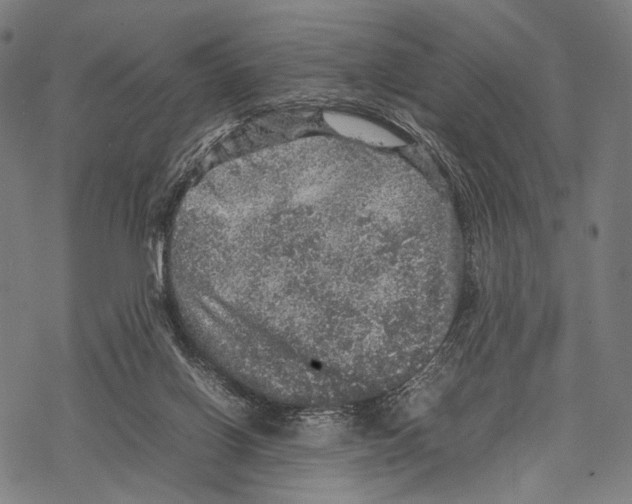 X0000067460070200605051632