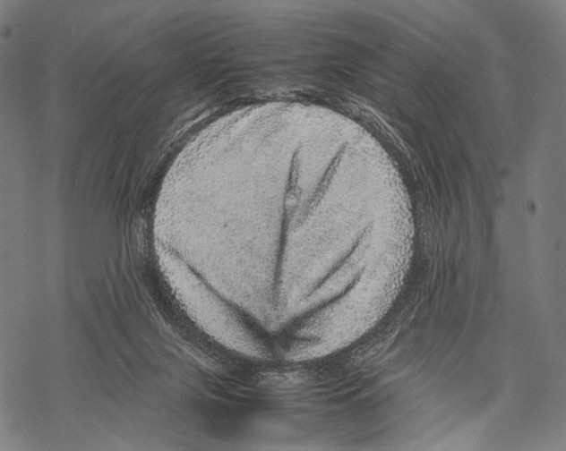 X0000067460071200605051632