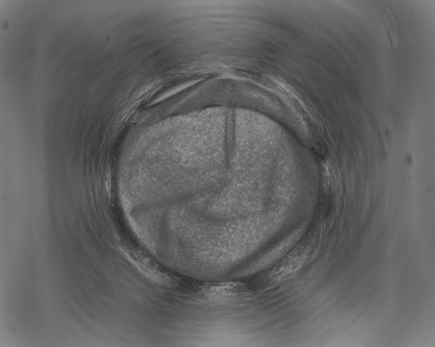 X0000067460072200605051632