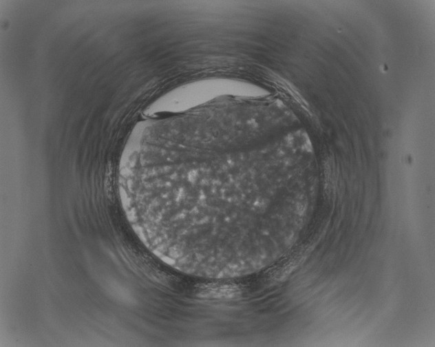 X0000067460073200605051632