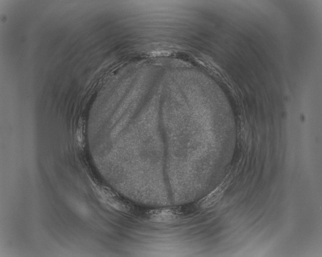 X0000067460074200605051632