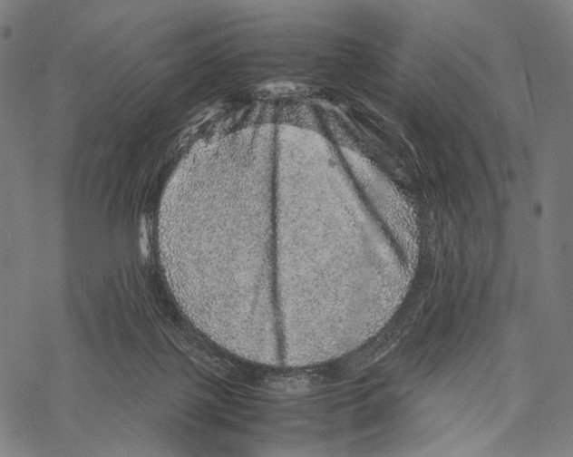 X0000067460075200605051632