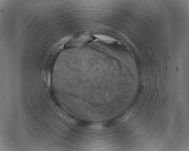 X0000067460076200605051632