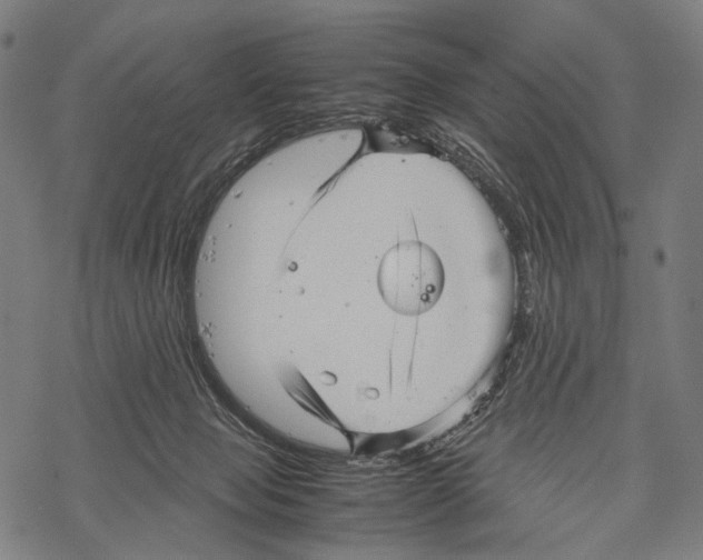 X0000067460077200605051632