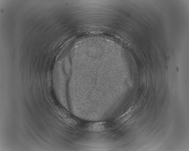 X0000067460078200605051632