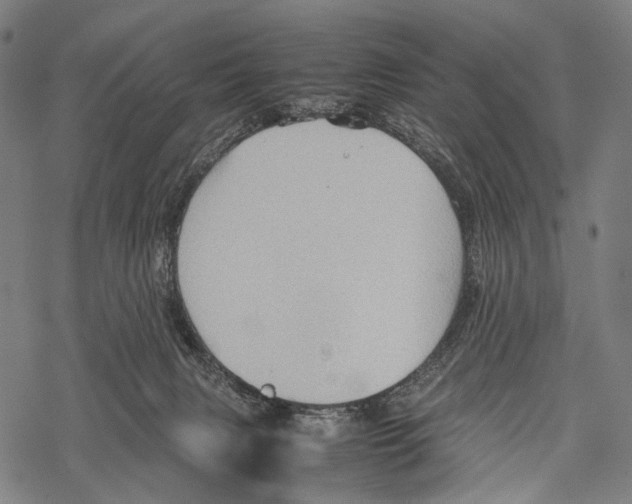 X0000067460079200605051632