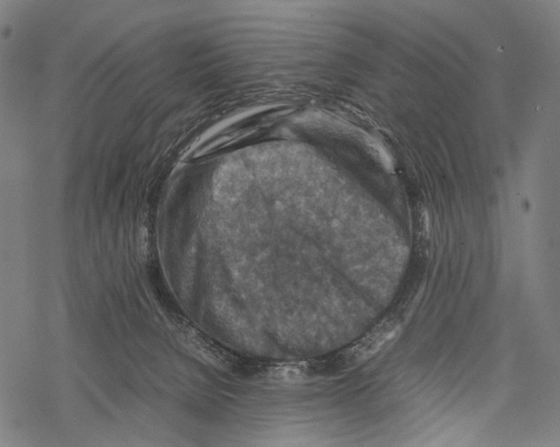 X0000067460080200605051632