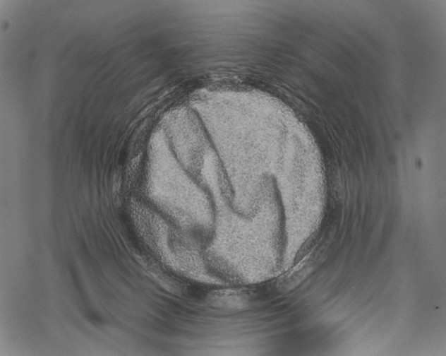 X0000067460082200605051632