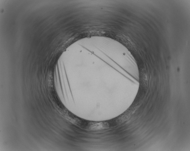 X0000067460083200605051632