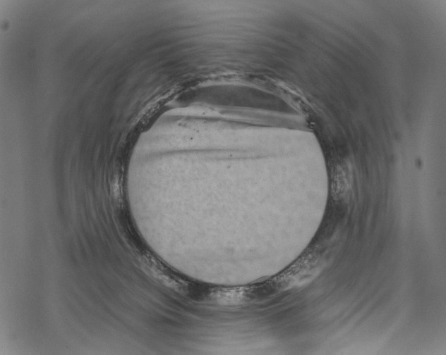 X0000067460084200605051632